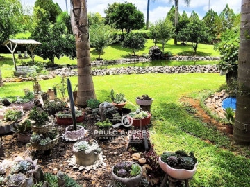 Sitio com 4 alqueires + granja de suínos + casa + piscina
