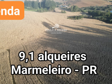 ÁREA DE TERRAS - SÍTIO 9,1 ALQUEIRES