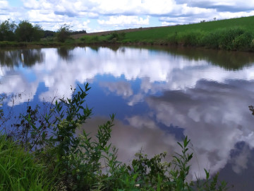 Chácara - Venda - Interior - Campo Erê - SC