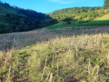 Rural - Venda - Interior - São Lourenço do Oeste - SC