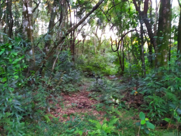 Chácara - Venda - Interior - Campo Erê - SC